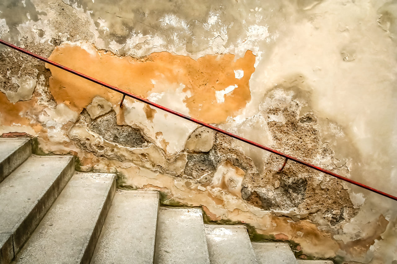 Preventing Mold Growth After Basement Flooding in Evanston Homes